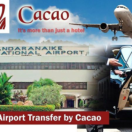 فندق Cacao كاتوناياكى المظهر الخارجي الصورة