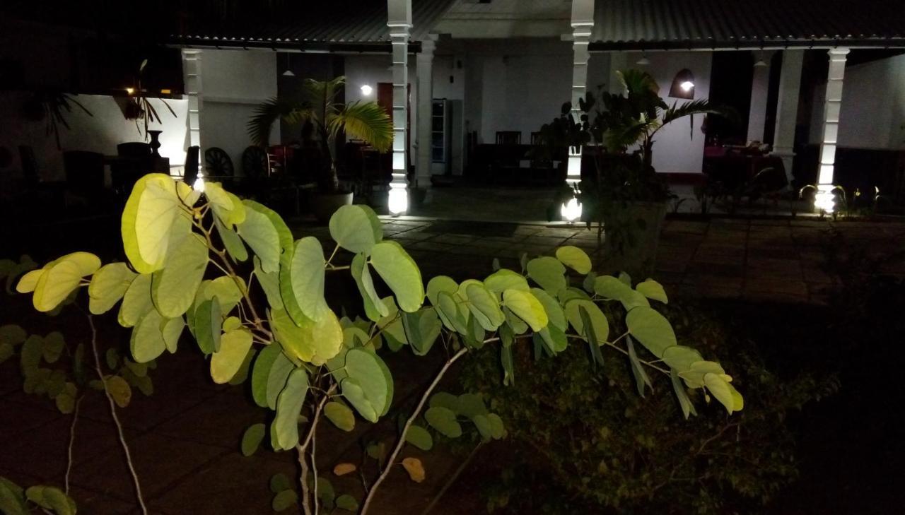 فندق Cacao كاتوناياكى المظهر الخارجي الصورة
