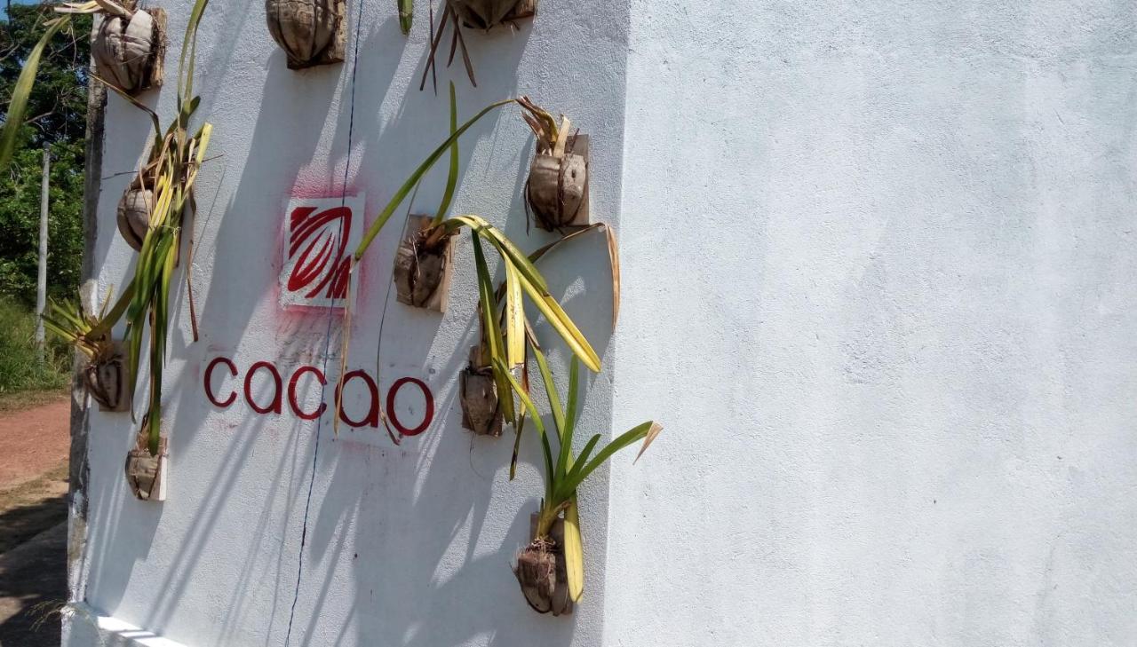 فندق Cacao كاتوناياكى المظهر الخارجي الصورة