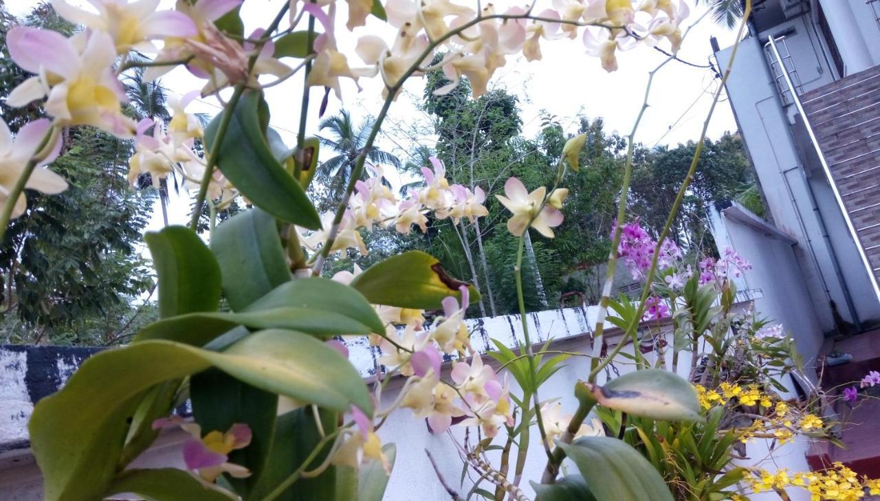 فندق Cacao كاتوناياكى المظهر الخارجي الصورة