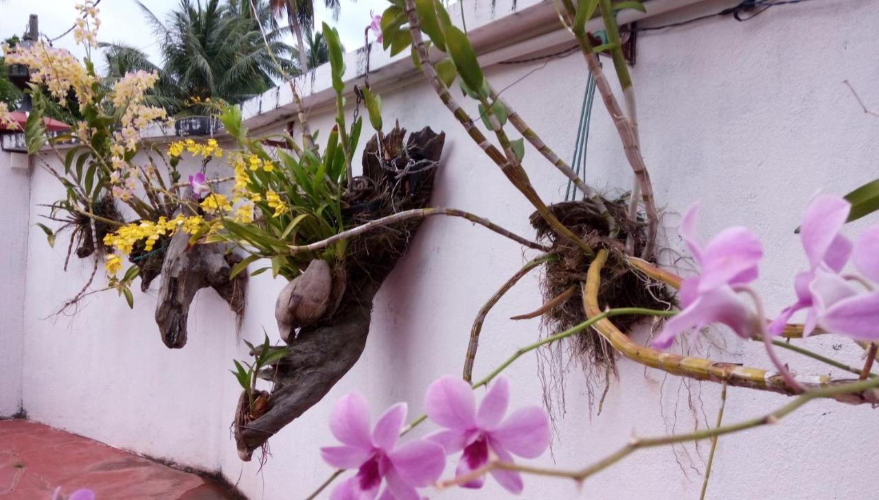 فندق Cacao كاتوناياكى المظهر الخارجي الصورة